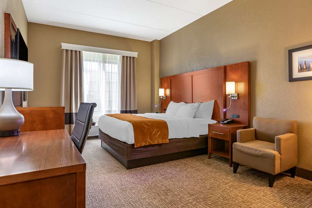 Comfort Suites Grand Rapids South - photo 6