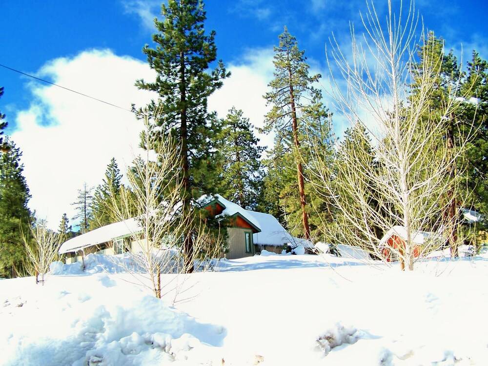 Golden Bear Cottages - photo 79