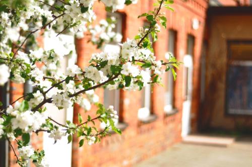 Sl Nams in Daugavpils, Latvia