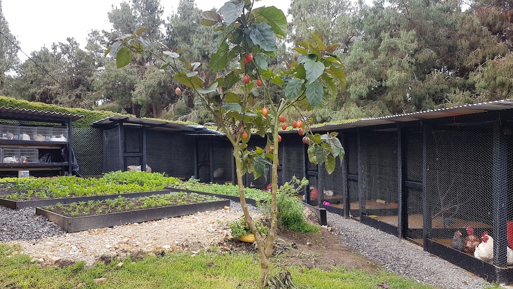 Glamping By Naqua — hotel in Choconta