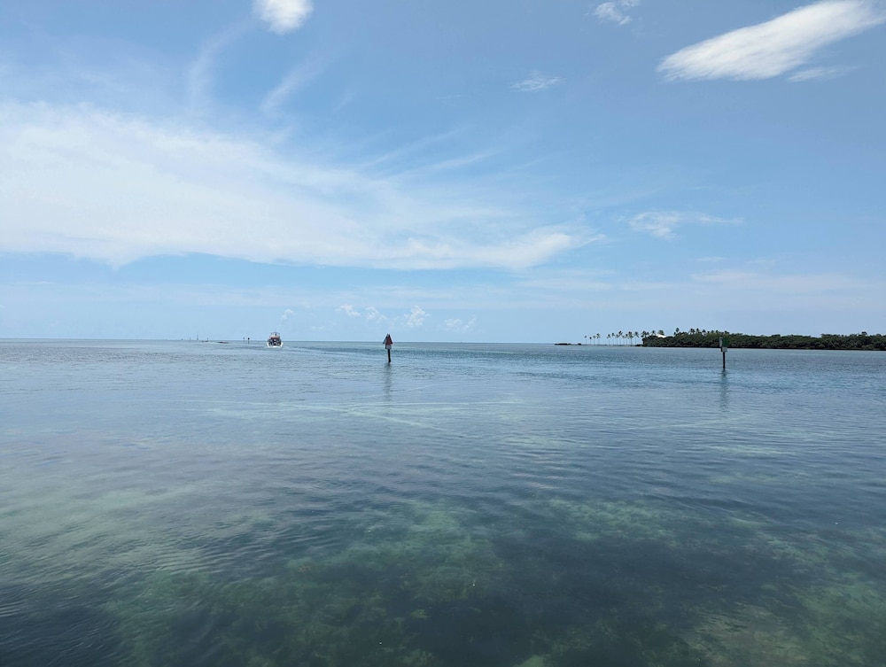 Bud N' Mary's Fishing Marina - photo 82