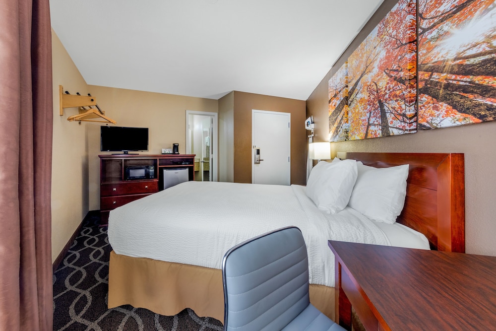 Days Inn by Wyndham St. Robert Waynesville Ft. Leonard Wood - photo 11