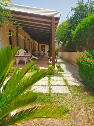 Aquilone in San Vito Lo Capo, Italy