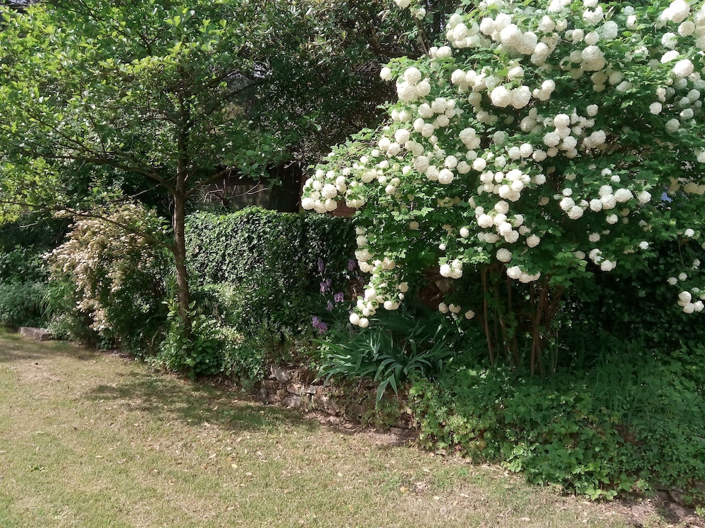 La Casa dei Ricordi in Buti — Buti — photo 3
