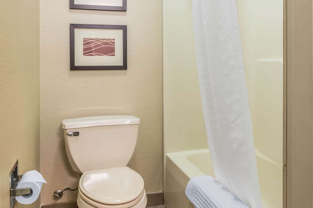 Comfort Inn Columbia Lancaster - photo 21