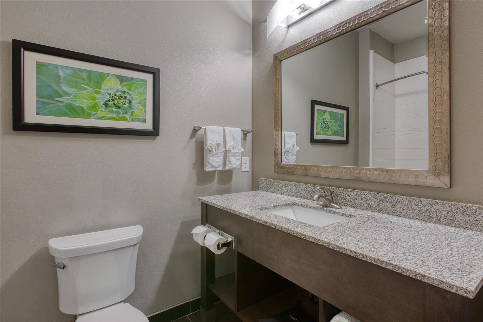 Best Western Plus Tech Medical Center Inn - photo 51