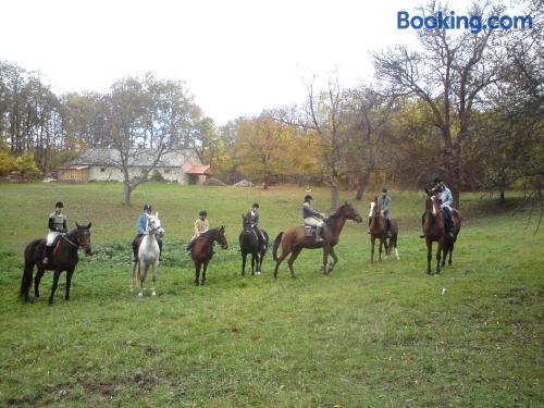 Andrea Wellness Panzio in Cserszegtomaj, Hungary