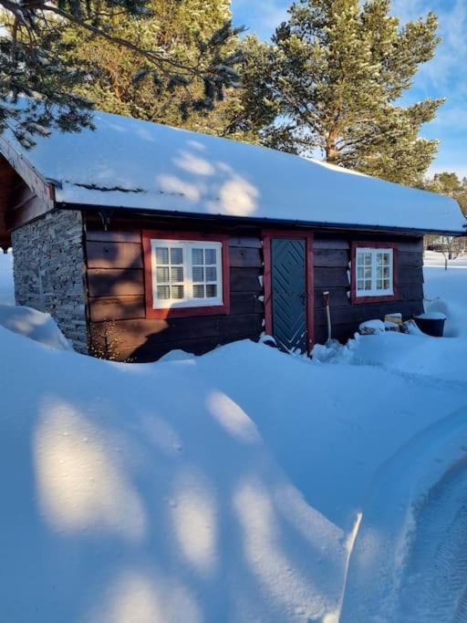 Koslig hytte ved Grimsdalen — Dovre — photo 4