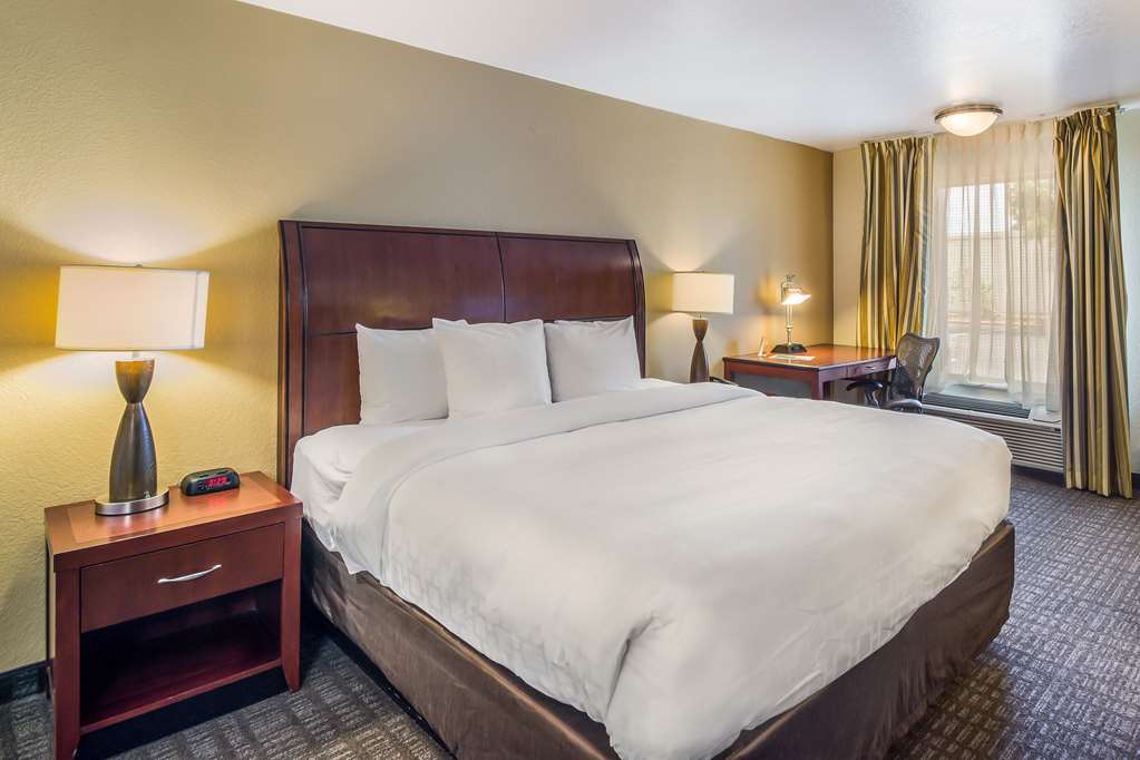 Clarion Inn & Suites Central Clearwater Beach - photo 27