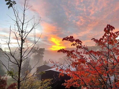 Snowgums Mountain Retreat - last minute hotel in Unknown City