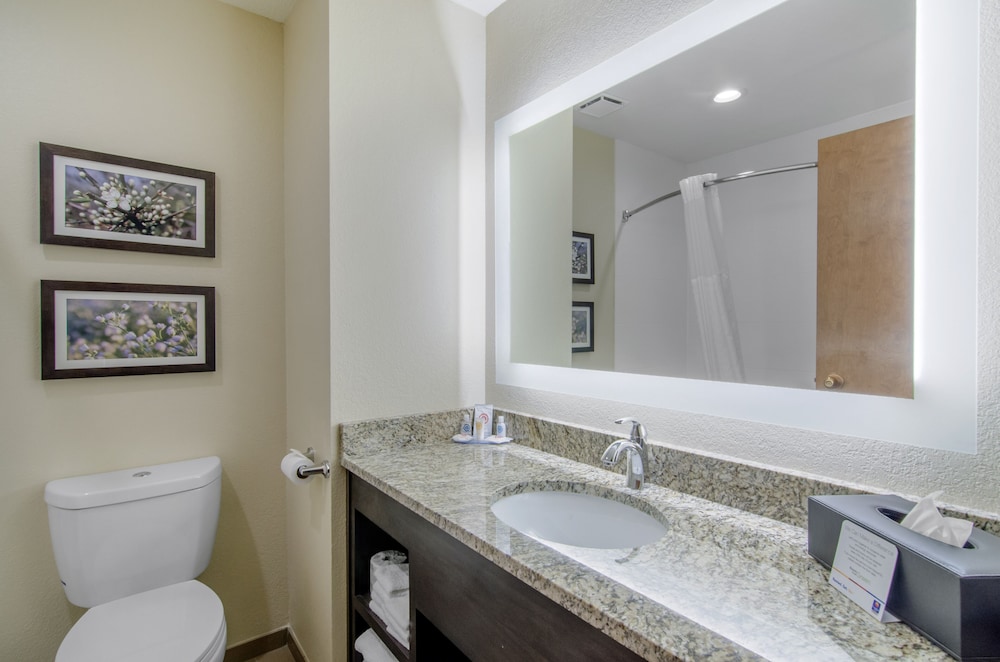 Comfort Inn St. Robert Fort Leonard Wood - photo 13