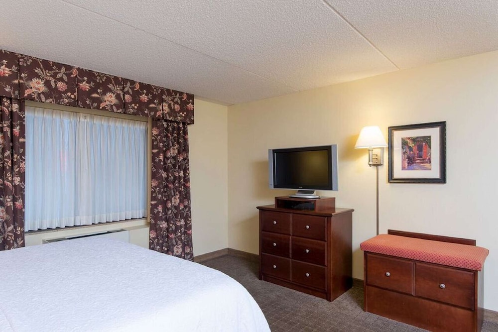 Hampton Inn Schenectady Downtown - photo 13