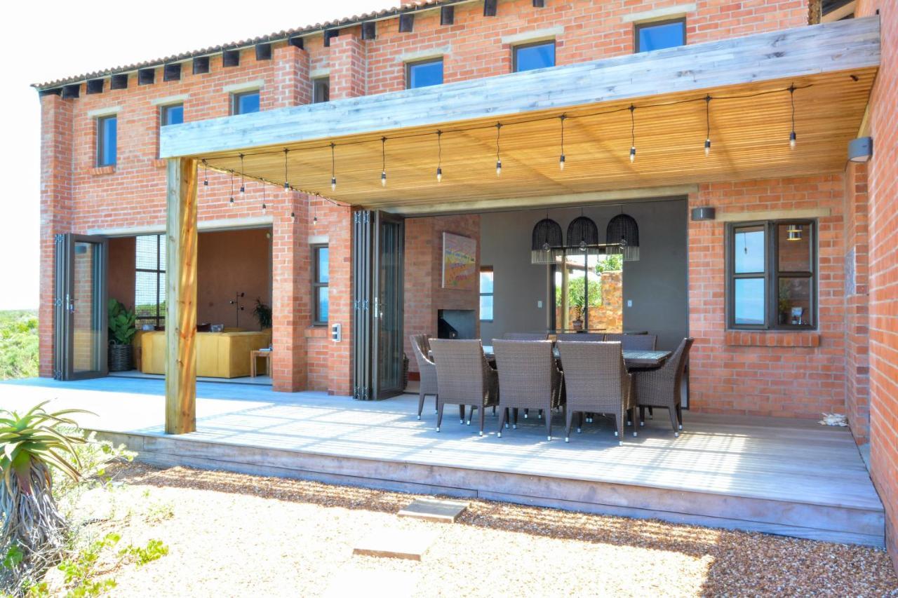 4 Zwaan in Unknown City, South Africa