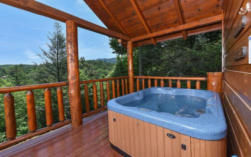 Almost Bearadise - carbon neutral hotel in Sevierville