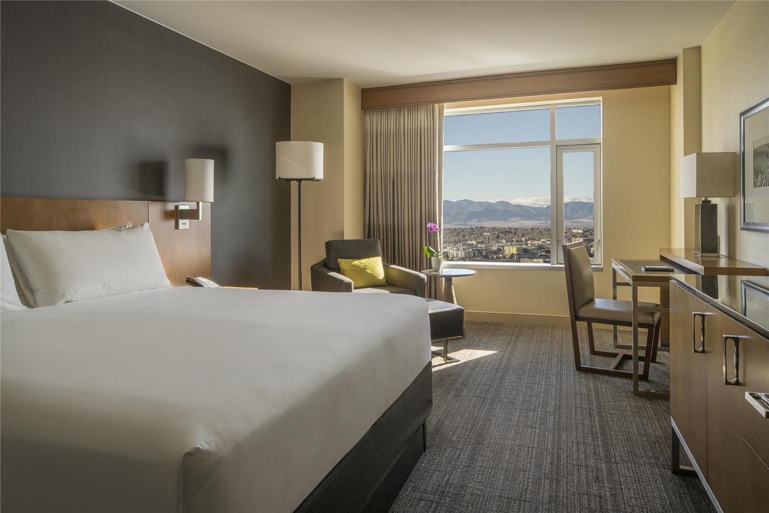 Hyatt Regency Denver at Colorado Convention Center - photo 6