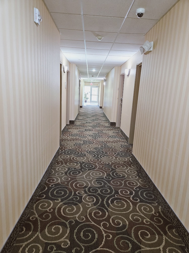 Cobblestone Inn & Suites Bloomfield - photo 39