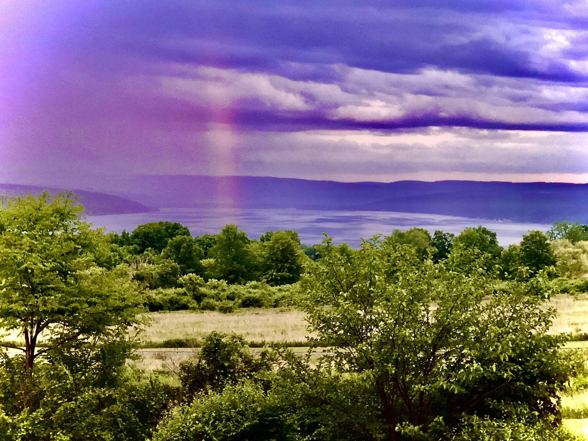 Cayuga Lake Inn Ithaca Hotel Alt - photo 8