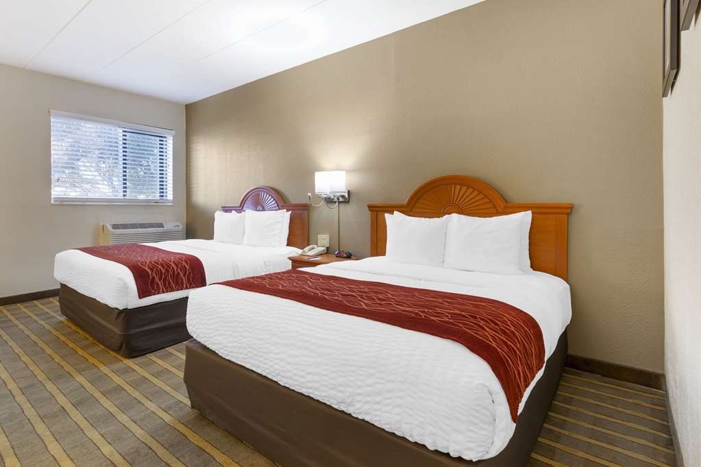 Comfort Inn University Center - photo 17