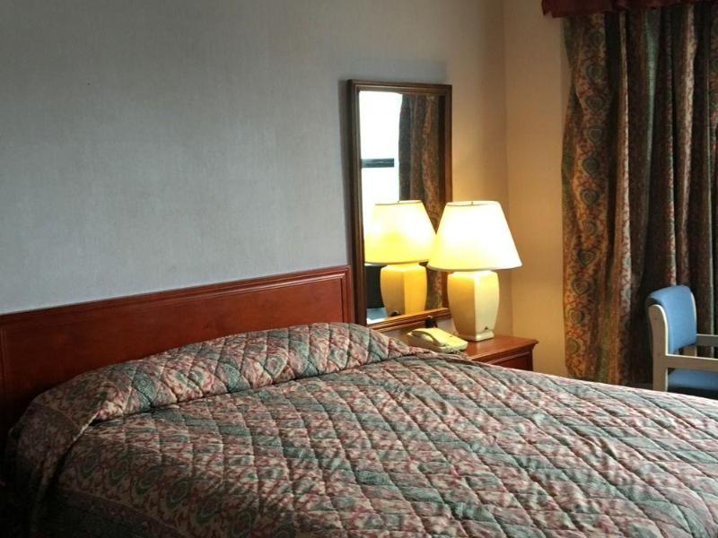 Alpha Inn & Suites - photo 11