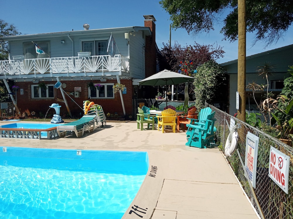 Captain's Cove Motel - photo 12