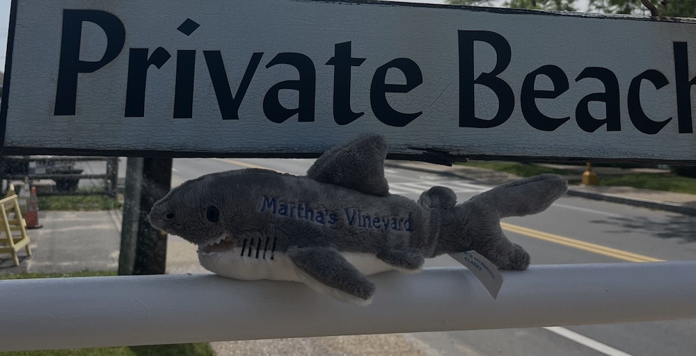 Vineyard Harbor Motel Private Beach - photo 364