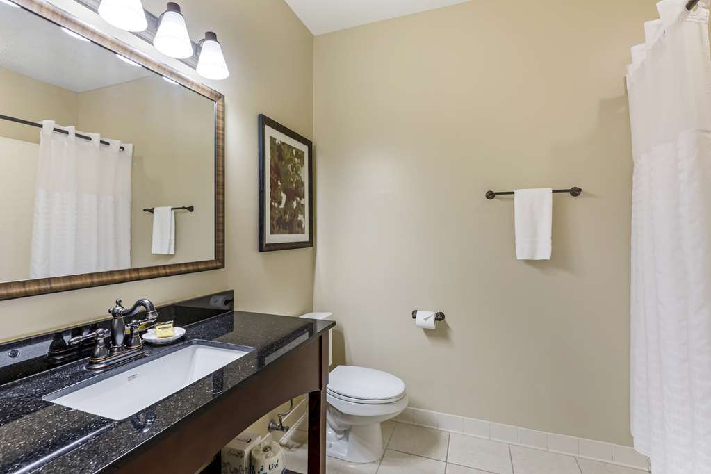 Best Western Plus Dutch Haus Inn and Suites - photo 34