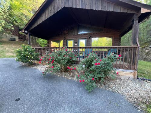 Beary Tale Your happily ever after starts here in Sevierville, United States