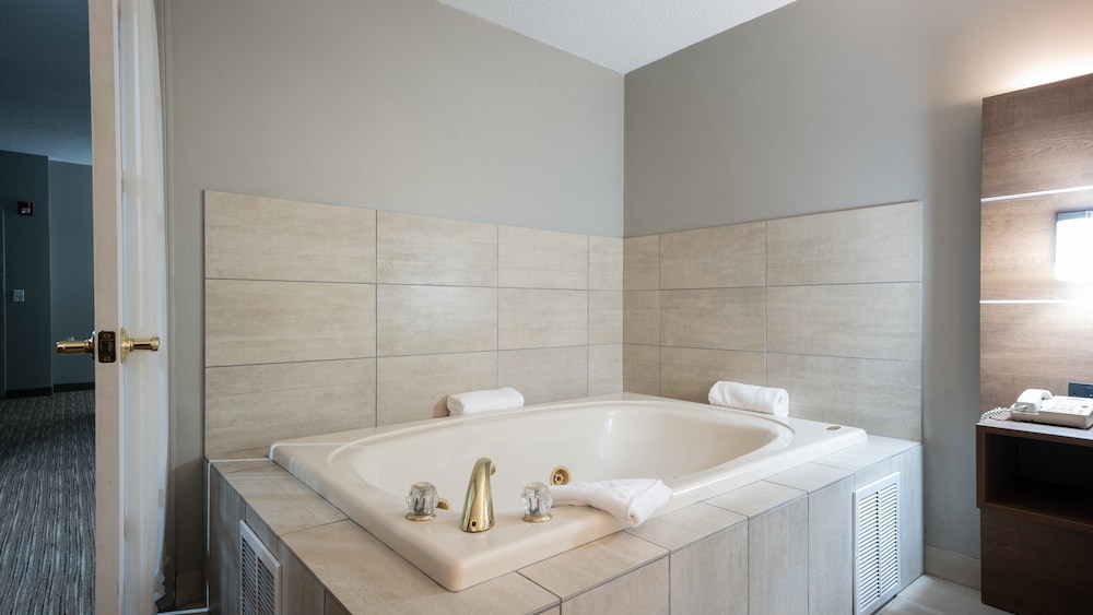 Holiday Inn Express Hotel & Suites Bad Axe by IHG - photo 6