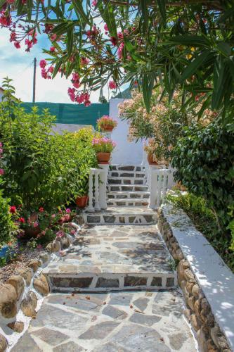 Quinta de Vale Escuro in Lousa, Portugal