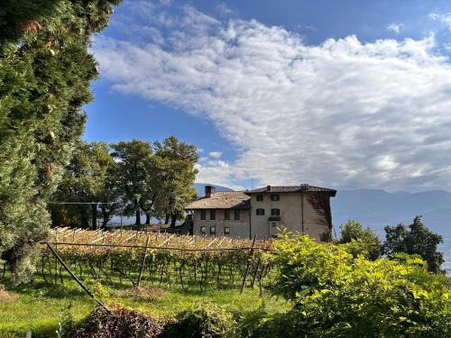 Locanda D&D Maso Sasso pet-friendly hotel Nogaredo