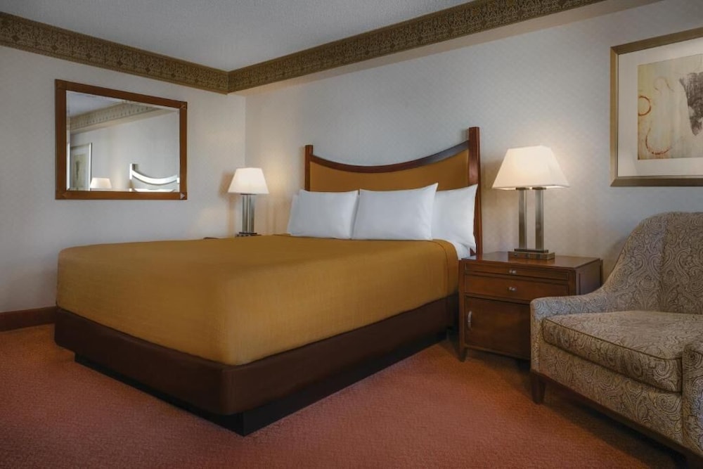 Circus Circus Hotel Casino & Theme Park - photo 11