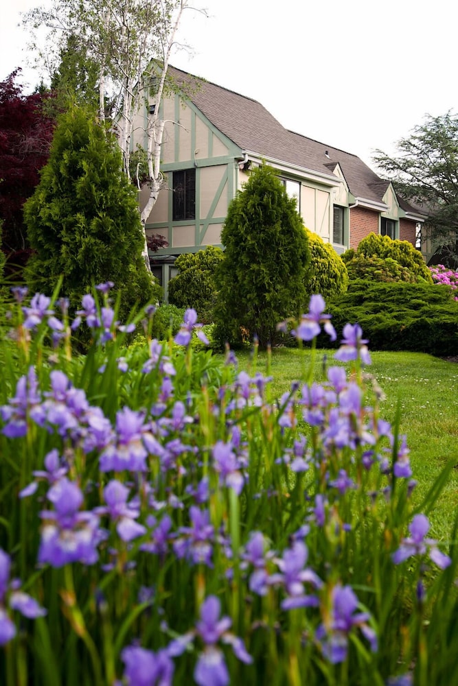 Southampton Inn - photo 41