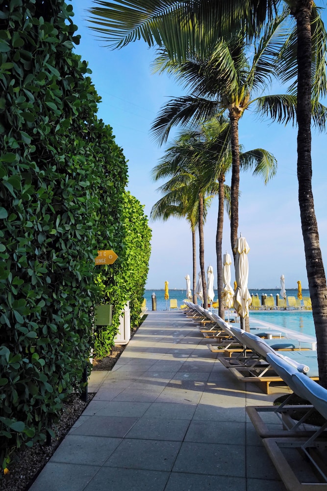 The Standard Spa Miami Beach - photo 19