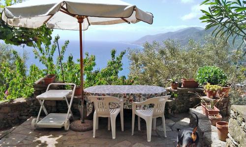 Villetta sul Mare — hotel in Camogli