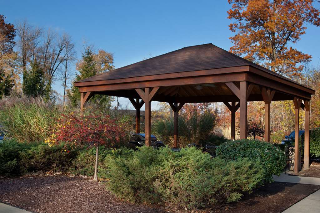 Sonesta Simply Suites Cleveland North Olmsted Airport - photo 24