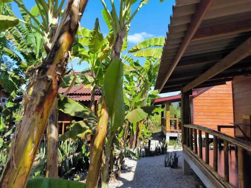 Nana Bungalows in Thakhek, Laos