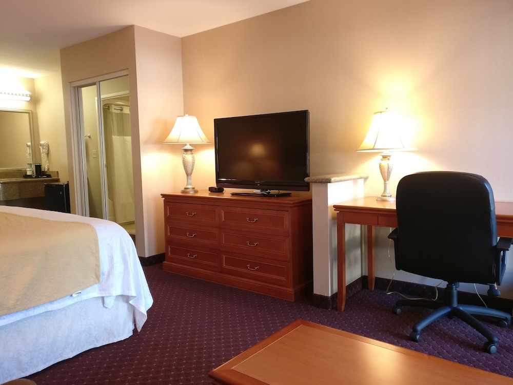 Burbank Inn and Suites - photo 6