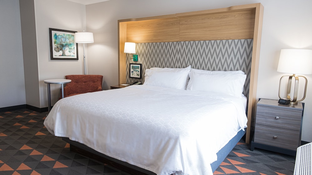 Holiday Inn and Suites Philadelphia W Drexel Hill - photo 24