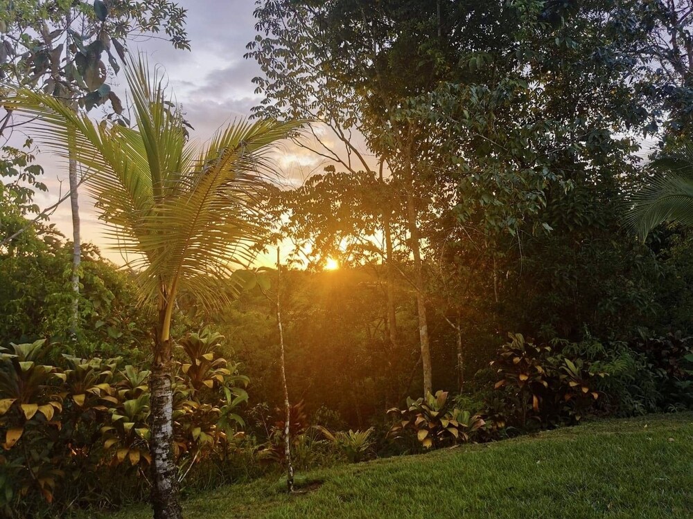 Hacienda De Los Suenos — hotel in Ciudad Cortes