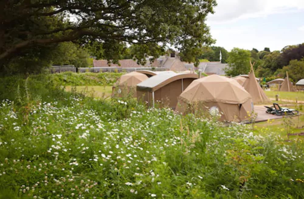 Durrell Wildlife Camp — 5-Star Luxury Hotel in Saint Helier, Jersey