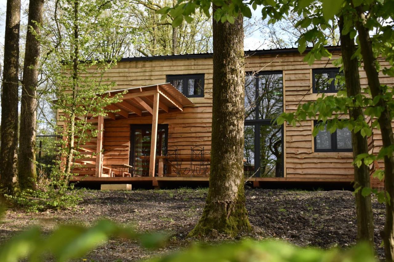 Gite cocon dans la forêt — 4-Star Luxury Hotel in Philippeville, Belgium