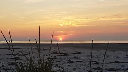 Bønnerup Strand - carbon neutral hotel in Unknown City
