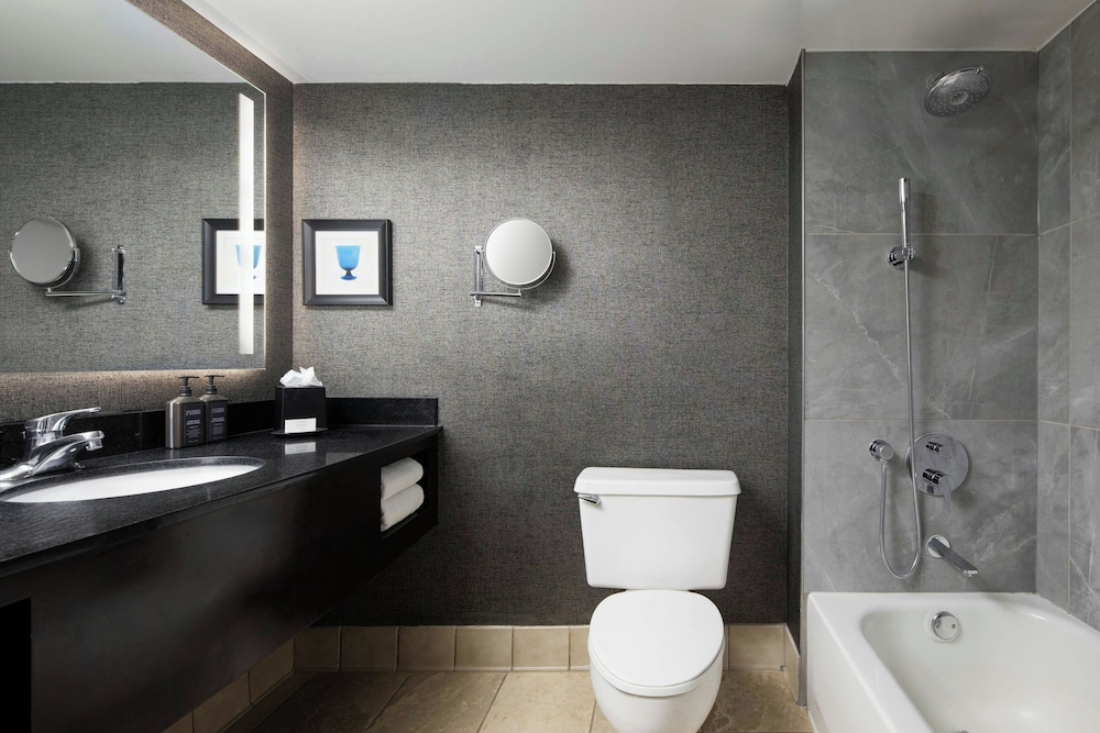 Sheraton DFW Airport Hotel - photo 25