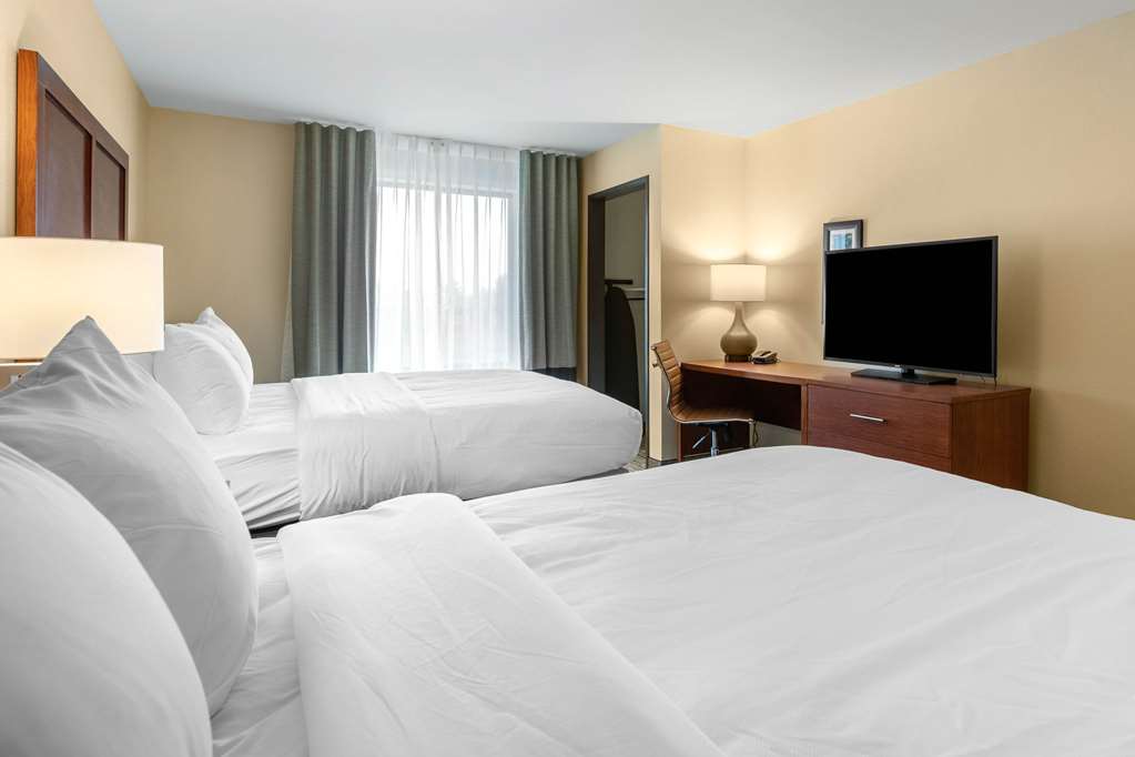 Comfort Inn and Suites Ames near ISU Campus - photo 8