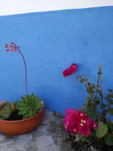 Little Hut do sul — hotel in Sao Bras De Alportel
