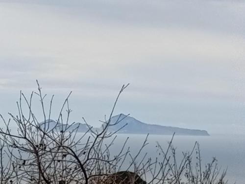 Threehouses - carbon neutral hotel in Trecase