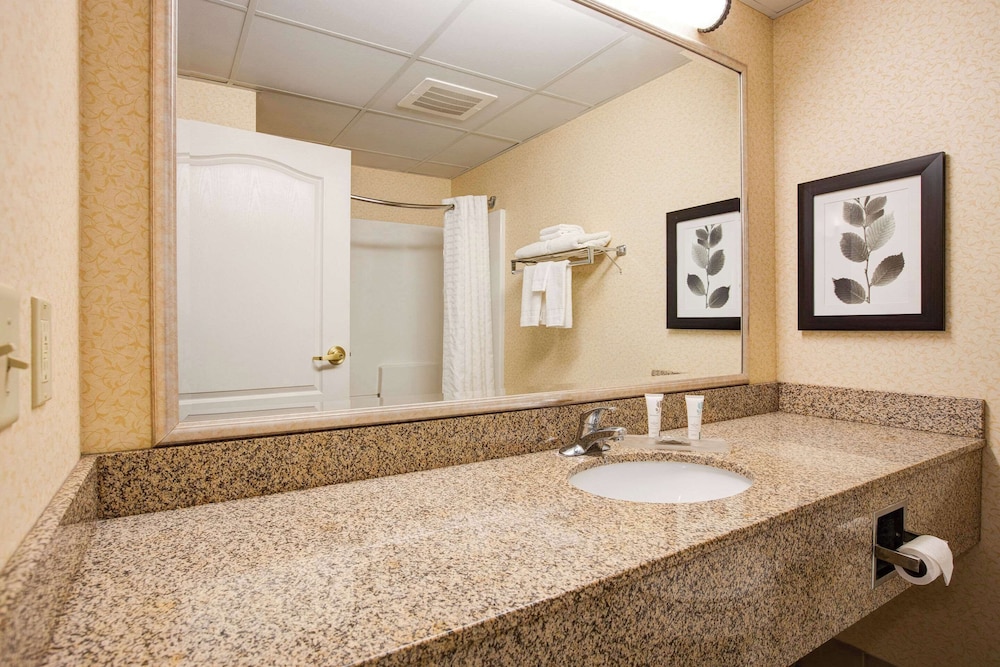 Comfort Inn & Suites St. Paul Northeast - photo 33
