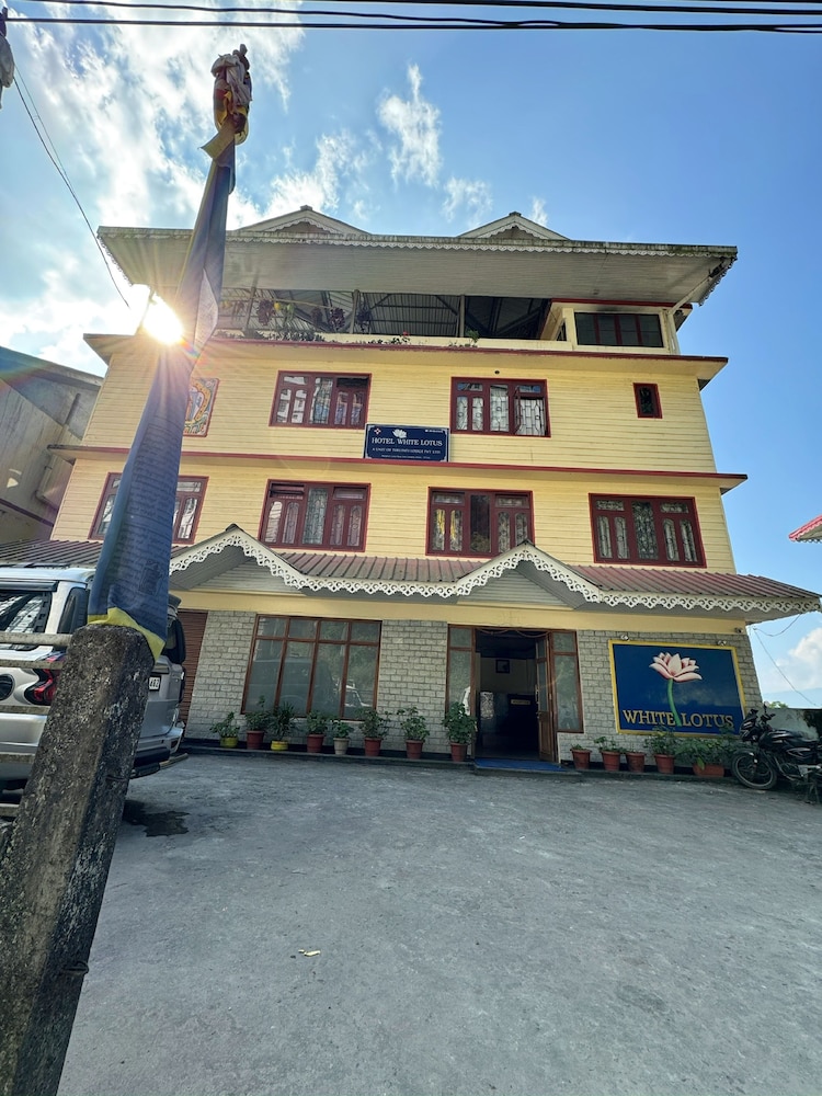 White Lotus in Gangtok, India