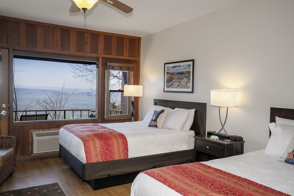 Skyland Resort - photo 4