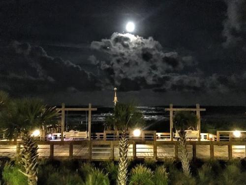 Carolina Beach Haven w Private Balcony - photo 47